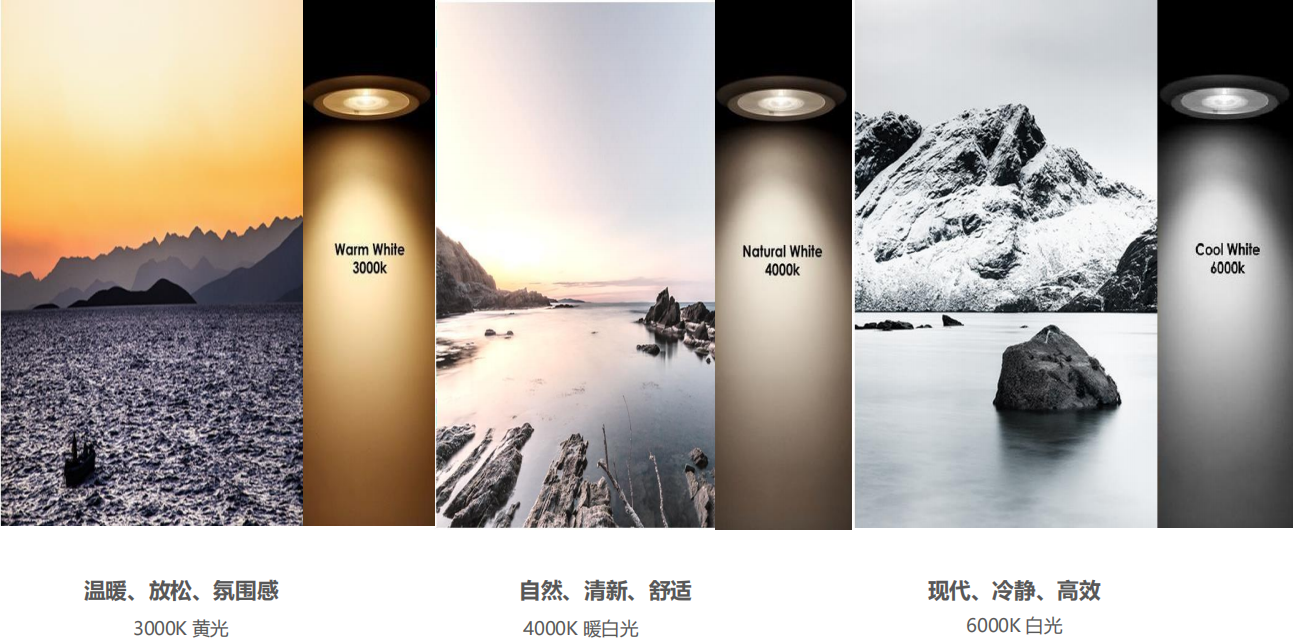 【設計案例】普照國康醫(yī)藥辦公室項目概念設計——以空間敘事，筑品牌基因(圖26)