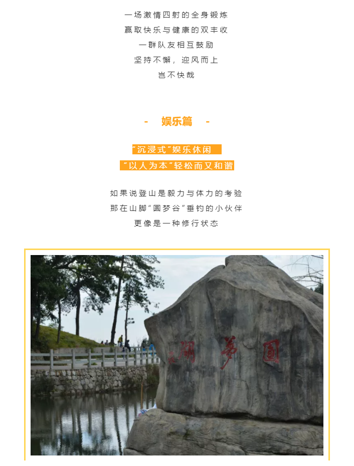 秋天了，來一場成年人的秋游吧(圖4)